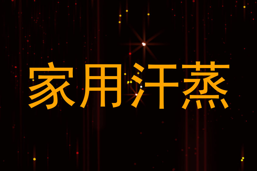 家用汗蒸