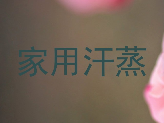 家用汗蒸