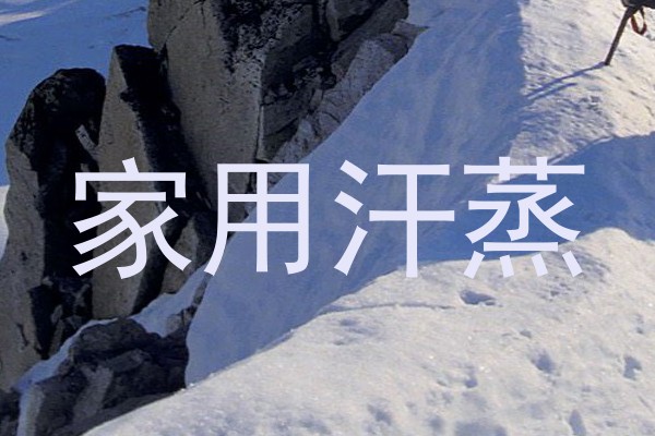 家用汗蒸
