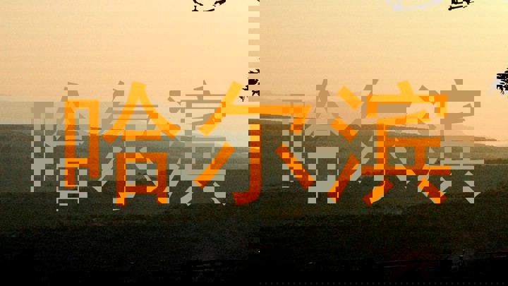 哈尔滨