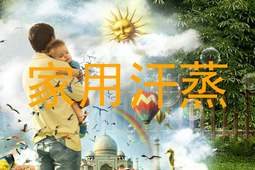 家用汗蒸