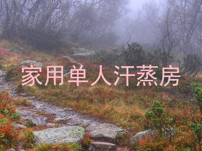 家用单人汗蒸房