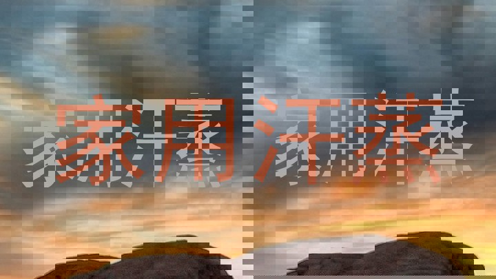 家用汗蒸