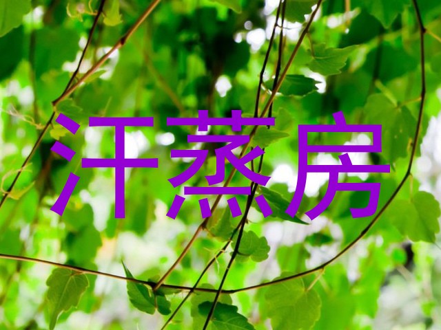 汗蒸房