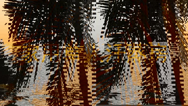 家用单人汗蒸房