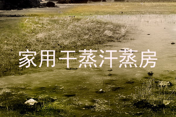 家用干蒸汗蒸房