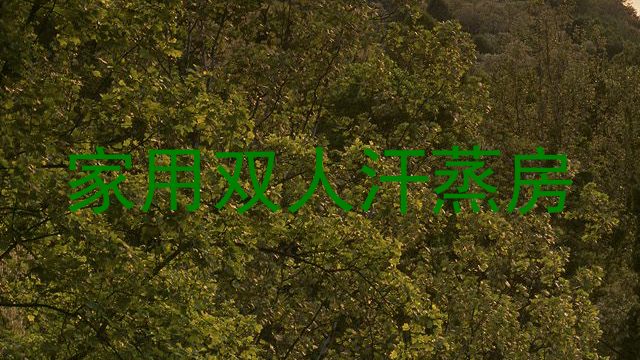 家用双人汗蒸房