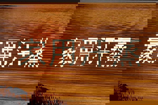家用汗蒸