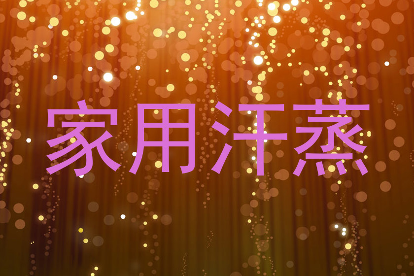 家用汗蒸