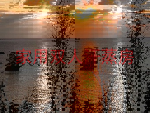 家用双人汗蒸房