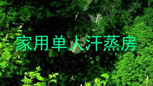 家用单人汗蒸房