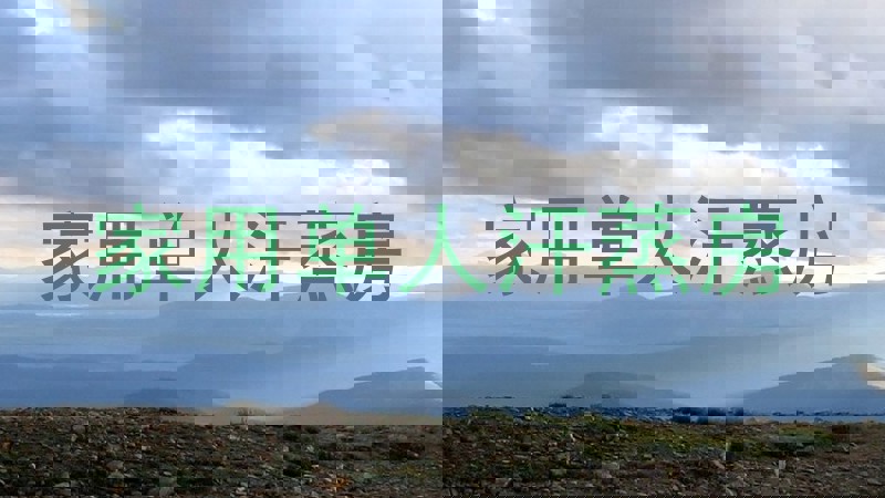 家用单人汗蒸房