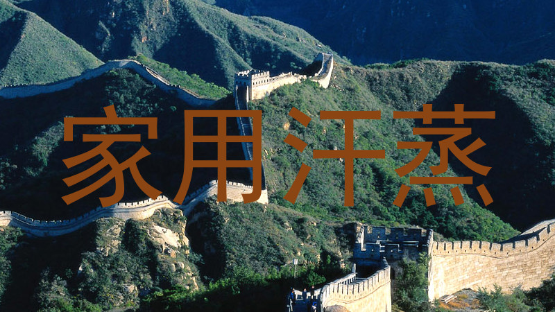 家用汗蒸