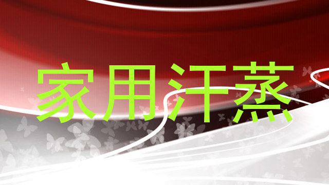 家用汗蒸