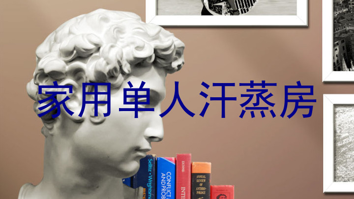 家用单人汗蒸房