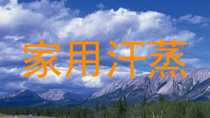 家用汗蒸