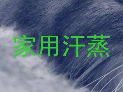 家用汗蒸