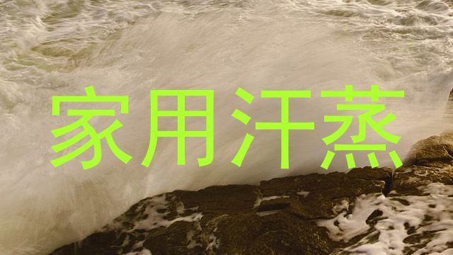 家用汗蒸