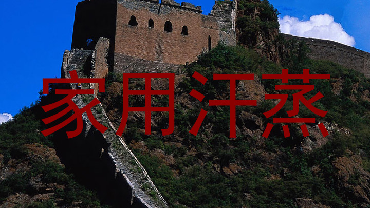 家用汗蒸