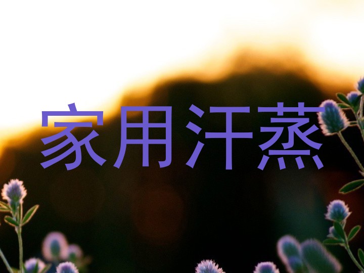 家用汗蒸