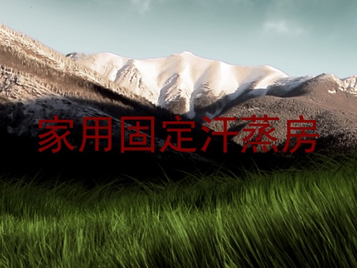 家用固定汗蒸房