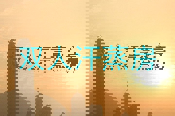 双人汗蒸房