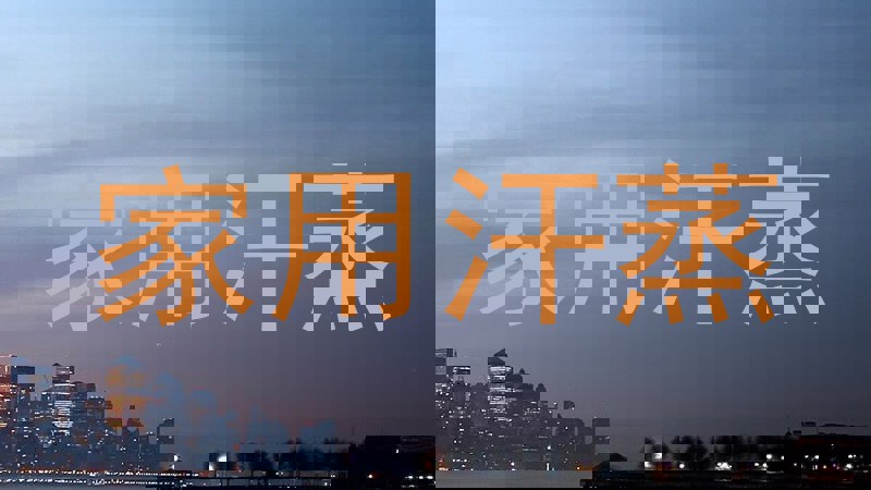 家用汗蒸