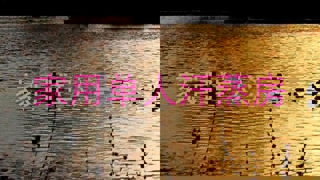 家用单人汗蒸房