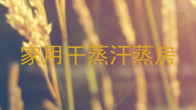 家用干蒸汗蒸房