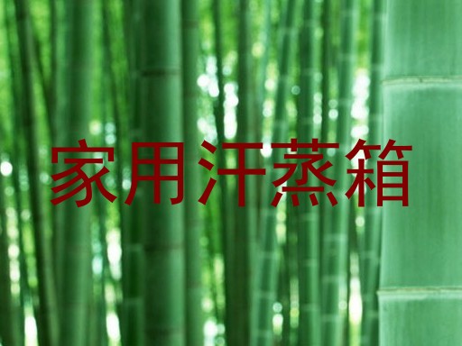 家用汗蒸箱