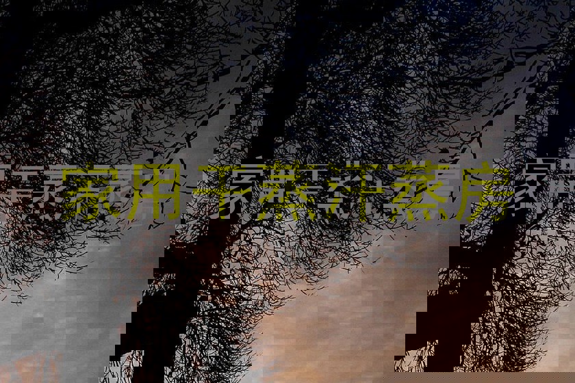 家用干蒸汗蒸房