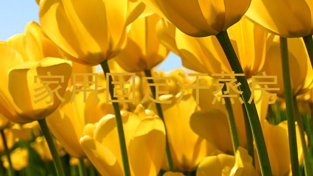 家用固定汗蒸房