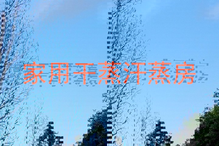 家用干蒸汗蒸房