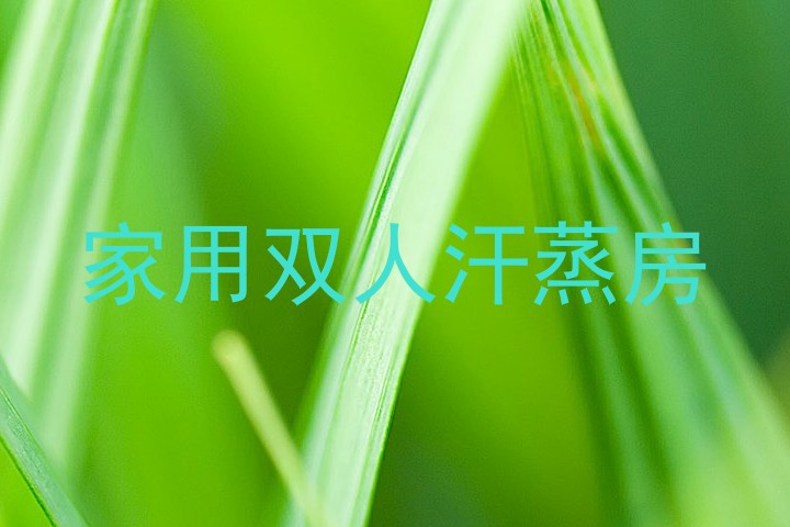 家用双人汗蒸房