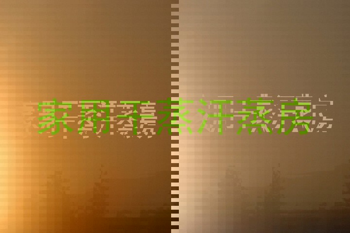 家用干蒸汗蒸房