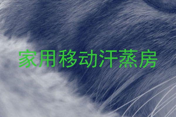 家用移动汗蒸房