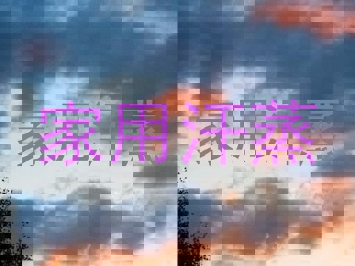 家用汗蒸