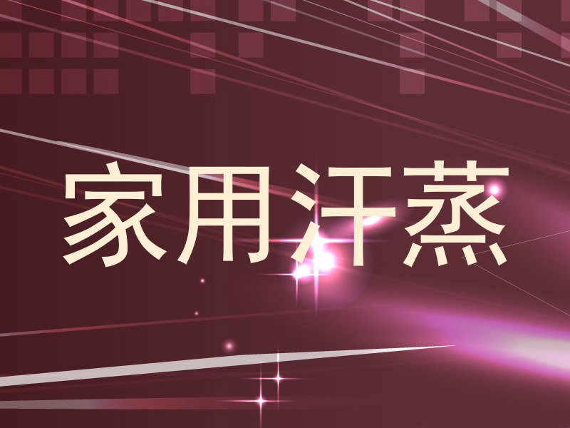 家用汗蒸