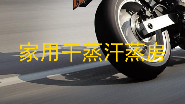 家用干蒸汗蒸房