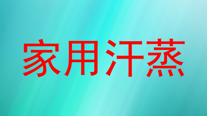 家用汗蒸