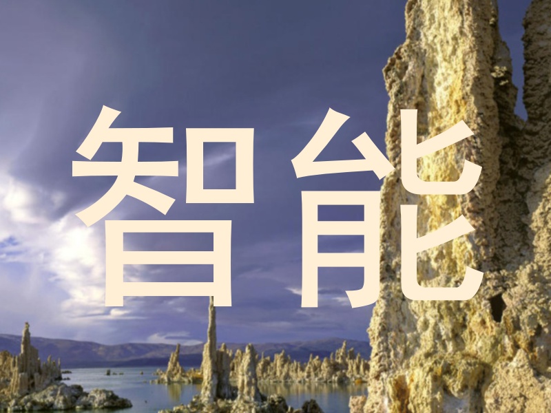 智能