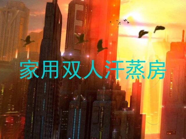 家用双人汗蒸房