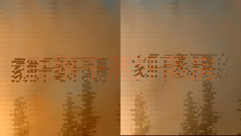 家用干蒸汗蒸房