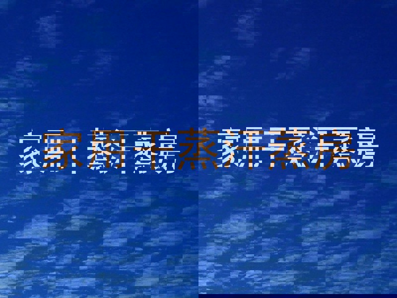 家用干蒸汗蒸房