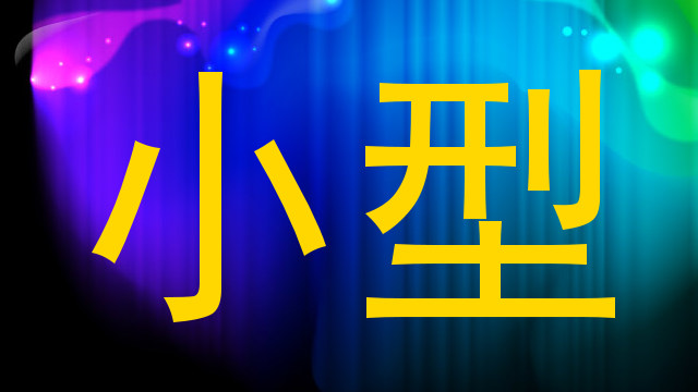 小型