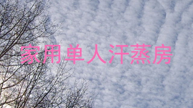 家用单人汗蒸房