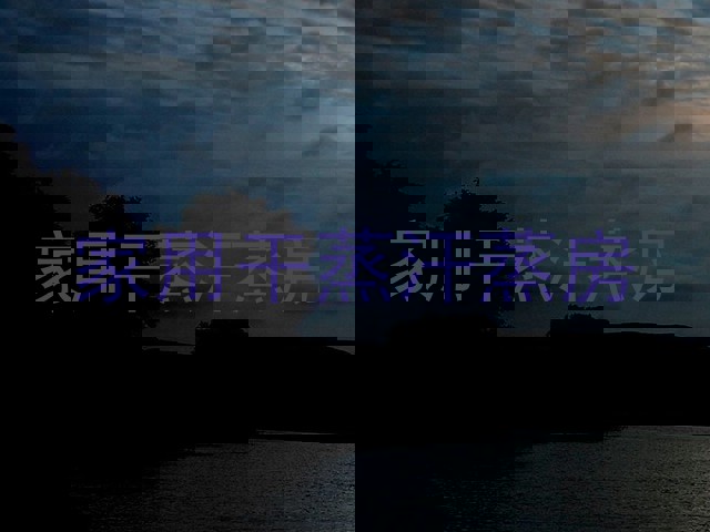 家用干蒸汗蒸房