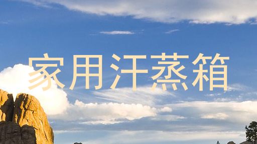 家用汗蒸箱