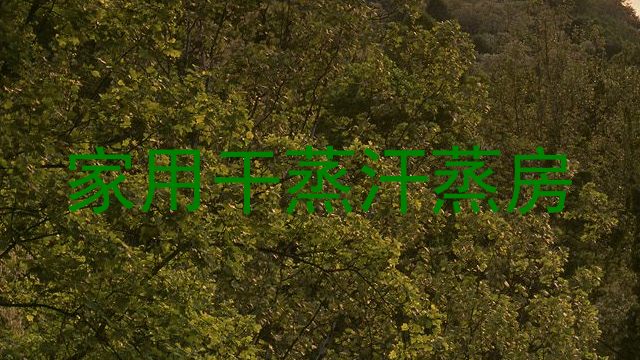 家用干蒸汗蒸房