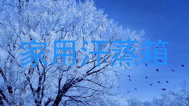 家用汗蒸箱